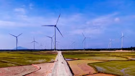 Việt Nam đang là điểm đến của dòng vốn đầu tư năng lượng tái tạo