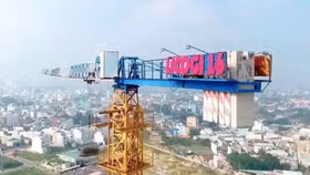 LCG dự chi 80,7 tỷ đồng cho hoạt động trả cổ tức đợt 1 năm 2020