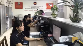 Hải quan TP. Hồ Chí Minh đề nghị thu hồi giấy phép kinh doanh của nhiều doanh nghiệp nợ thuế