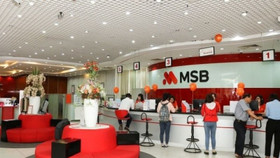 MSB sẽ phát hành hơn 472 triệu cổ phiếu, tăng vốn điều lệ lên 20.000 tỷ đồng