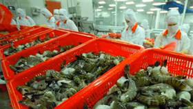 Xuất khẩu nông, lâm, thủy sản vượt 13 tỷ USD trong 5 tháng