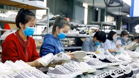 Đến 2030, dệt may và da giày sẽ là ngành xuất khẩu chủ lực của Việt Nam