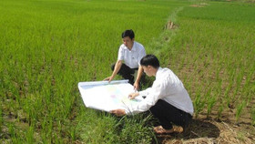 Kiểm kê đất đai, lập bản đồ hiện trạng sử dụng đất năm 2019