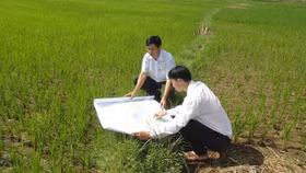 Kiểm kê đất đai, lập bản đồ hiện trạng sử dụng đất năm 2019