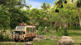 TP. HCM gây thất thoát hơn 104 tỷ tại dự án Safari