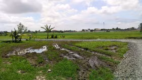 TP. HCM xin Thủ tướng chuyển gần 400ha đất ruộng để làm khu công nghiệp