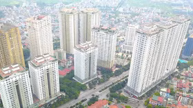 Bộ TN&MT yêu cầu các tỉnh, thành kiểm tra việc thu hồi Giấy chứng nhận đã cấp