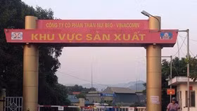 Quảng Ninh quyết định thu hồi đất của Than Núi Béo – Tập đoàn Vinacomin