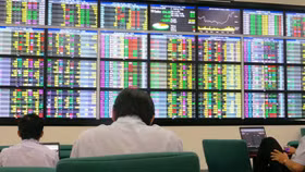 Nhiều doanh nghiệp chốt thời gian trả cổ tức bằng tiền