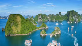 Chủ tịch UBND tỉnh Quảng Ninh nói gì trước đề xuất đầu tư 2 dự án du lịch tổng quy mô 1.466ha