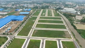 Phạt đến 1 tỷ đồng nếu chủ đầu tư phân lô bán nền trái phép