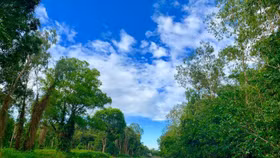 Hơn 370 tỷ đồng phát triển dự án khu du lịch thiên nhiên 2.800 ha lớn nhất Hậu Giang