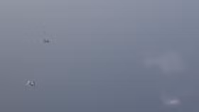 Cận cảnh Su-35 Nga ngăn chặn JAS 39 Gripen Thụy Điển, bảo vệ Tu-160 trên biển Baltic