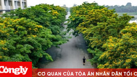 “Bí mật” của những người được thiên nhiên “chữa lành” ở Ecopark