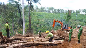 Lâm Đồng thu hồi 208 dự án đầu tư trên đất nông nghiệp