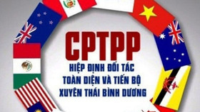 Chính phủ bổ sung quy định về thuế xuất nhập khẩu ưu đãi theo Hiệp định CPTPP áp dụng đối với Peru