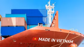 Tín hiệu tích cực từ việc sử dụng chứng nhận xuất xứ ưu đãi theo EVFTA