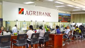 Agribank đấu giá lô đất hơn 3.000m2 tại TPHCM nhằm thu hồi nợ