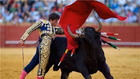 Phiên 28/8: VNIndex hồi phục 777 điểm, cặp đôi ROS- FLC tăng trần