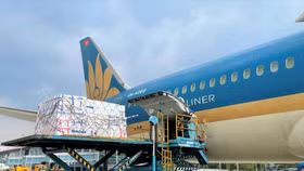 Đề nghị hãng bay giảm giá cước vận chuyển vải thiều Bắc Giang