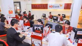 Dừng sáp nhập PGBank, HDBank muốn tăng vốn lên hơn 20.000 tỷ đồng