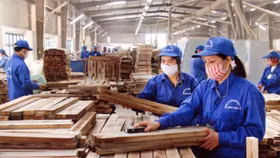 TTF: Quý 1 tiếp tục lỗ, không trích lập dự phòng các khoản phải thu cuối 2016