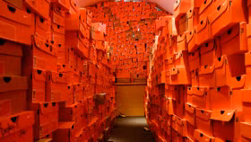 19 tỷ đồng hàng hoá Nike bị đánh cắp ở Mỹ