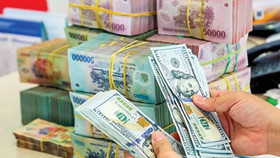 VND có thể giảm khoảng 1% so với đồng USD trong năm 2022