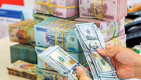 VND có thể giảm khoảng 1% so với đồng USD trong năm 2022