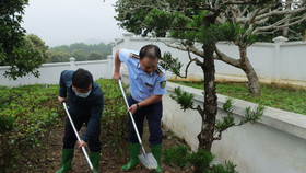 Phát động chương trình trồng 65.000 cây xanh trong toàn lực lượng Quản lý thị trường