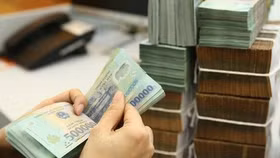 Sẽ cơ cấu lại tổ chức tín dụng và xử lý nợ xấu từ 2021 - 2025