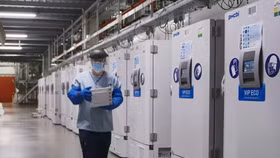 Các hãng hàng không tranh giành “suất” vận chuyển vắc xin Covid-19