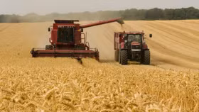 Ukraine thiếu phân bón trầm trọng do chiến tranh, đẩy giá lương thực toàn cầu lên mức cao và khan hiếm