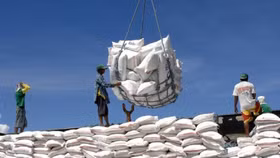 Bộ Công Thương vào cuộc kiểm tra các đơn vị nhập khẩu gạo từ Ấn Độ