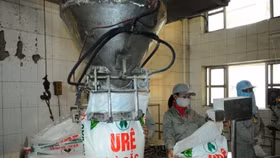 Ai đang là chủ nợ lớn của Đạm Hà Bắc?