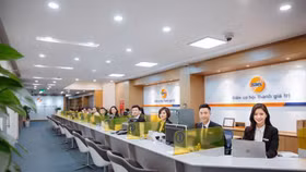 Chứng khoán SHS chào bán 325 triệu cổ phiếu, nâng vốn điều lệ lên gấp đôi