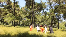 Một ngày thơm mát thanh hao