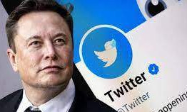 Doanh thu quảng cáo của Twitter giảm 50% sau khi về tay Elon Musk