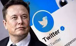 Doanh thu quảng cáo của Twitter giảm 50% sau khi về tay Elon Musk