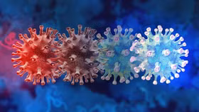 Biến thể Covid-19 mới có thể né tránh miễn dịch và tăng khả năng lây nhiễm