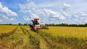 Cần Thơ thu hồi dự án nông nghiệp CNC gần 3.6000 tỷ đồng tại huyện Cờ Đỏ