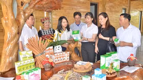 Huyện Văn Yên - Yên Bái: Điểm sáng thu hút dòng vốn đầu tư khu vực Tây Bắc