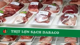 Dabaco Việt Nam (DBC) dự kiến thưởng cổ phiếu tỷ lệ 100%