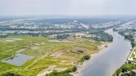 Sunny Island bị Quốc Cường Gia Lai kiện ra Trung tâm Trọng tài Quốc tế Việt Nam