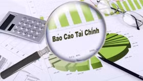 Nhựa Đông Á, Sao Thái Dương... bị HOSE nhắc nhở nộp chậm báo cáo tài chính