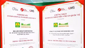 Mai Linh thuộc “Top 10 – Thương hiệu uy tín năm 2020”