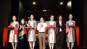 Vingroup ra mắt trung tâm nghệ thuật đương đại VCCA