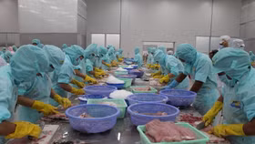 Cổ phiếu của “Vua cá tra” bị đưa vào diện kiểm soát