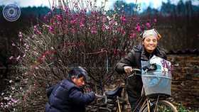 Liên hoan ảnh nghệ thuật ''Tình yêu và cuộc sống Hà Nội''