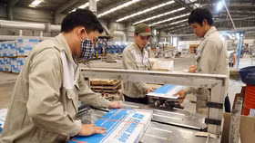 Sau khi lộ diện cổ đông lớn, CMC quyết chi hơn 73,3 tỷ đồng trả cổ tức năm 2020